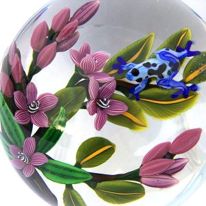 A Prince Unkissed – Blue Poison Dart Frog